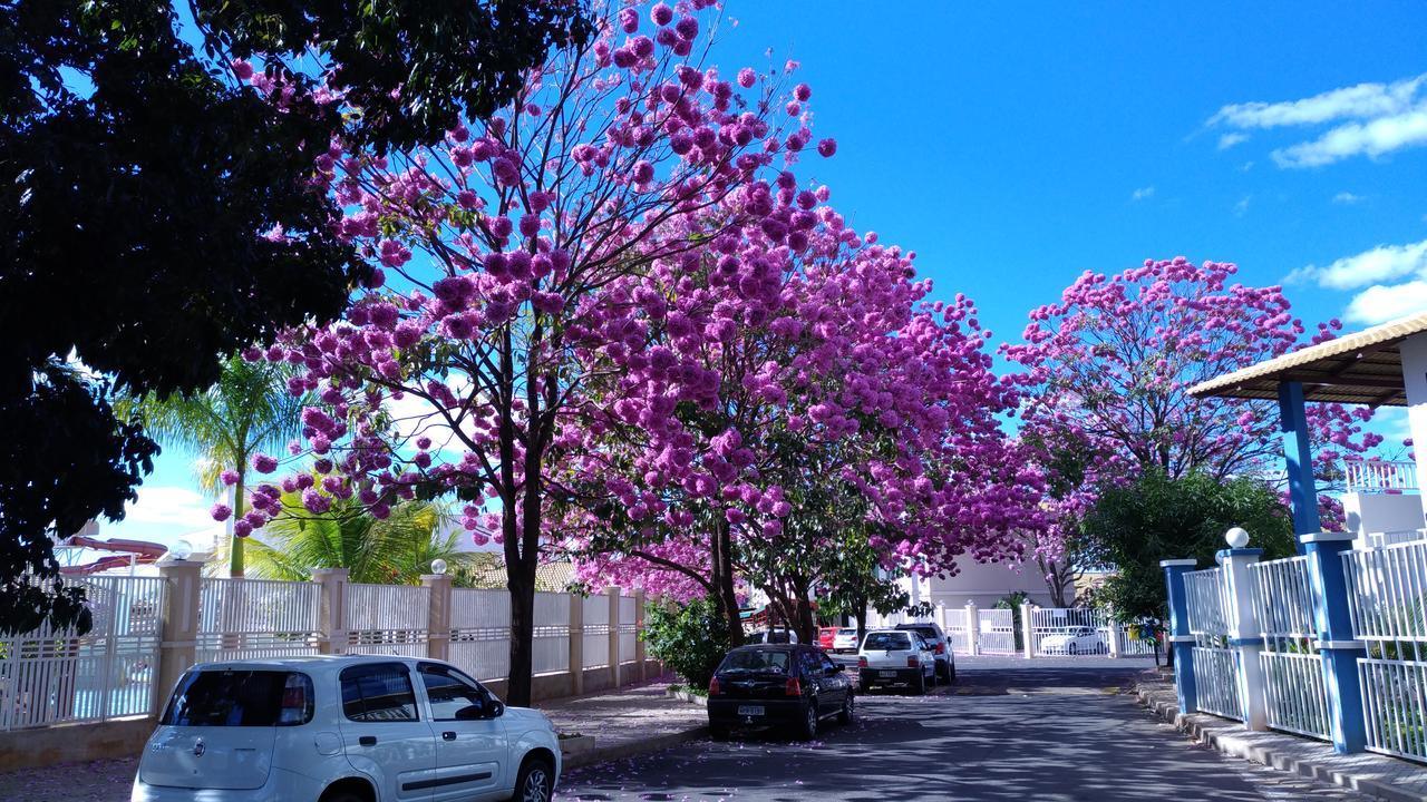 Diroma Andrian - Lacqua II Caldas Novas Exterior photo